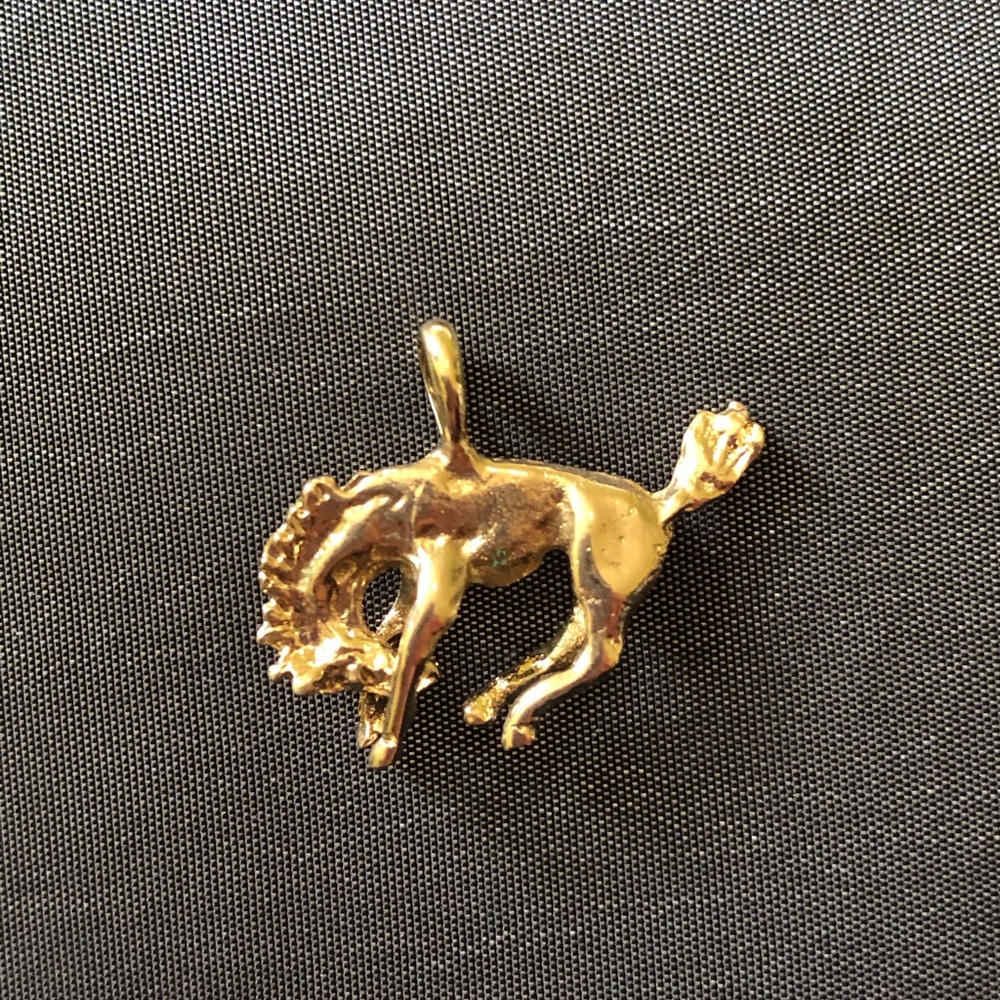 ✨Beautiful horse golden charm✨